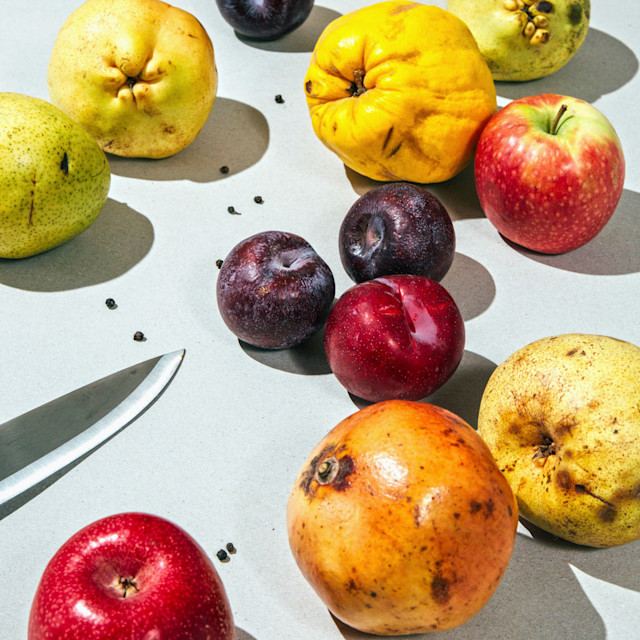 It’s Not Fitness. It’s Life. fiber-desktop