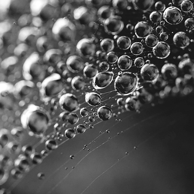 Unrivaled Group Fitness classes. Unparalleled Personal Training. Studios that inspire you to perform and luxury amenities that keep you feeling your best.