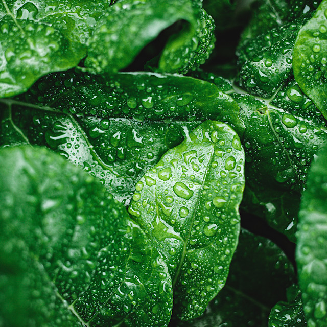 Unrivaled Group Fitness classes. Unparalleled Personal Training. Studios that inspire you to perform and luxury amenities that keep you feeling your best.