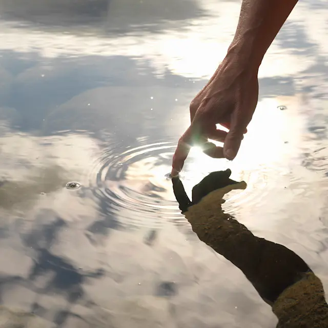 It’s Not Fitness. It’s Life. Unrivaled Group Fitness classes. Unparalleled Personal Training. Studios that inspire you to perform and luxury amenities that keep you feeling your best.