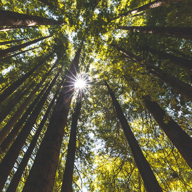 It’s Not Fitness. It’s Life. Unrivaled Group Fitness classes. Unparalleled Personal Training. Studios that inspire you to perform and luxury amenities that keep you feeling your best.