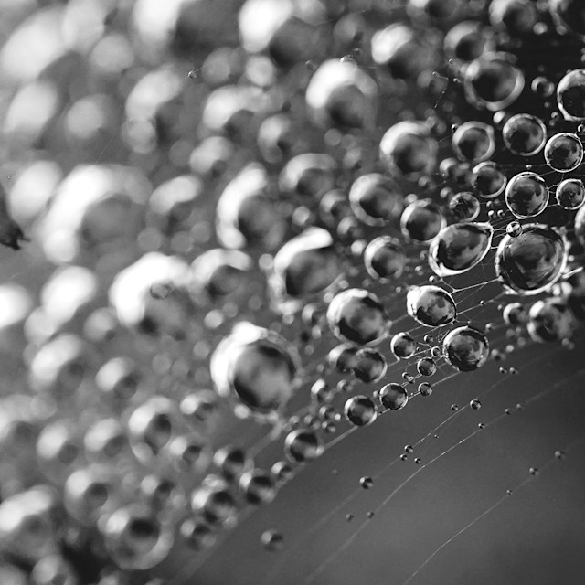 Unrivaled Group Fitness classes. Unparalleled Personal Training. Studios that inspire you to perform and luxury amenities that keep you feeling your best.