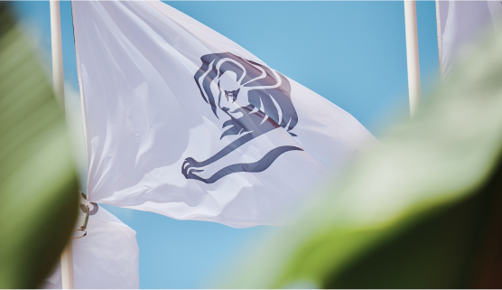 Cannes Lions Flag