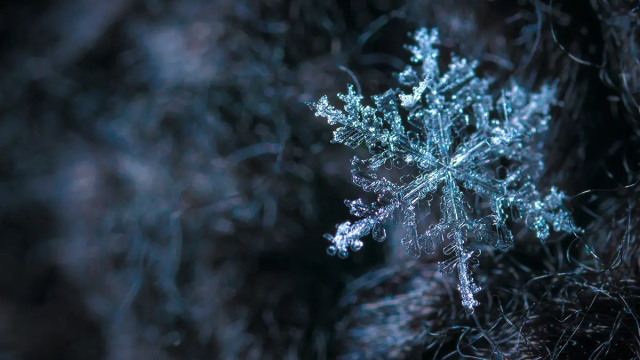 Six reasons to cache Snowflake with the Aerospike Database - featured