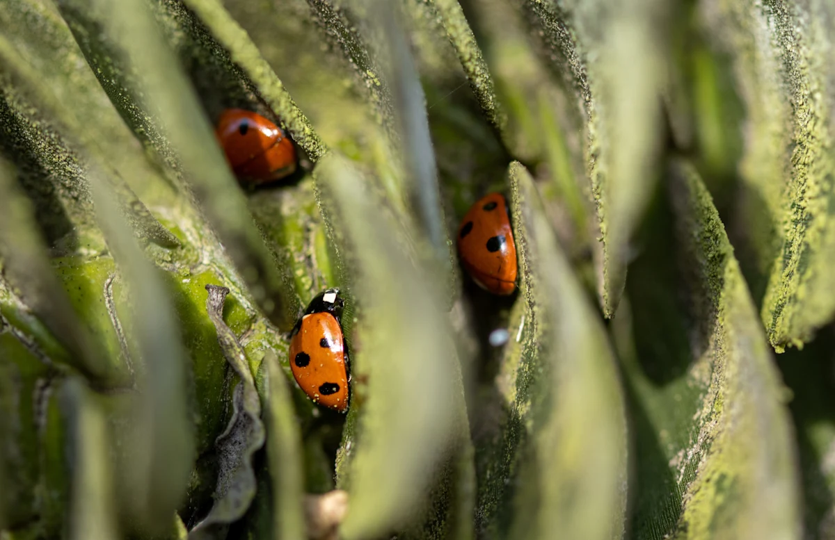 Photo by Daniel Cooke on Unsplash