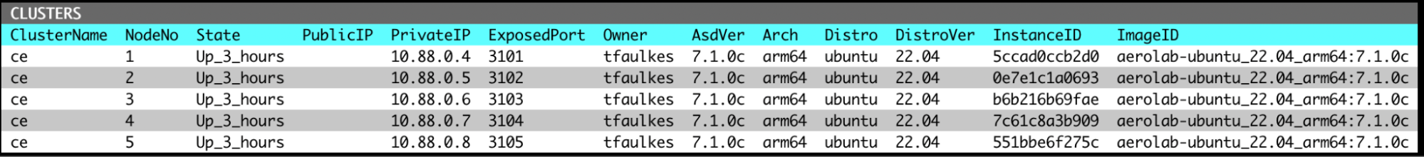 introduction-to-aerospike-using-community-edition-and-aerolab-exposed-ports-5