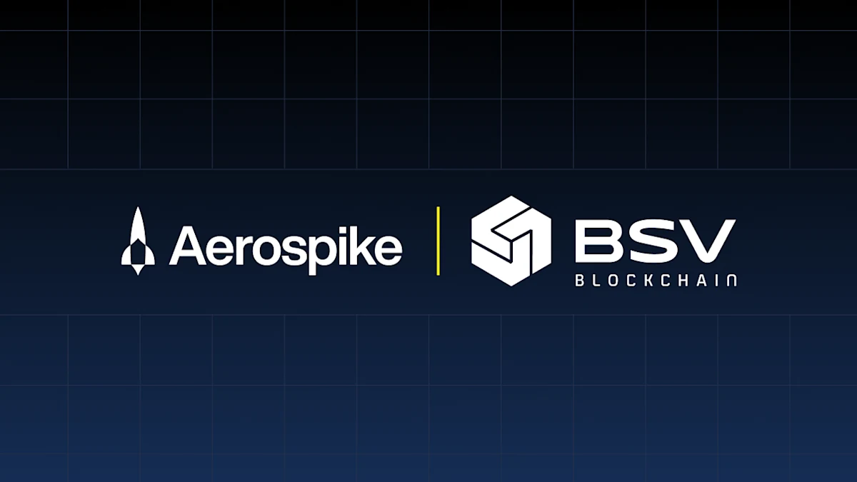 bsv-blockchain