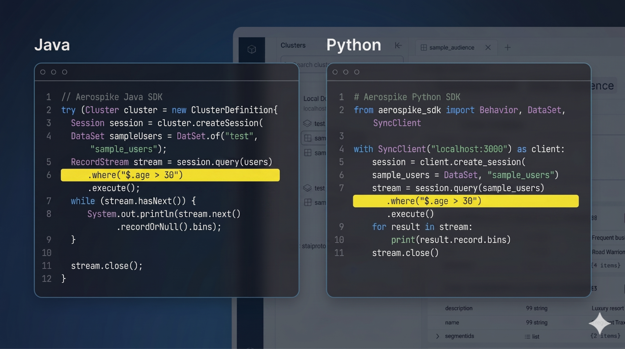Aerospike Java and Python SDK