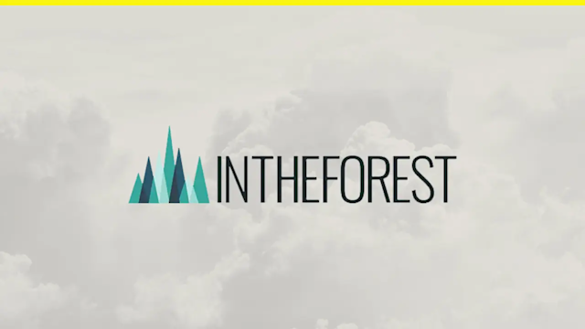 intheforest-partners-ftd