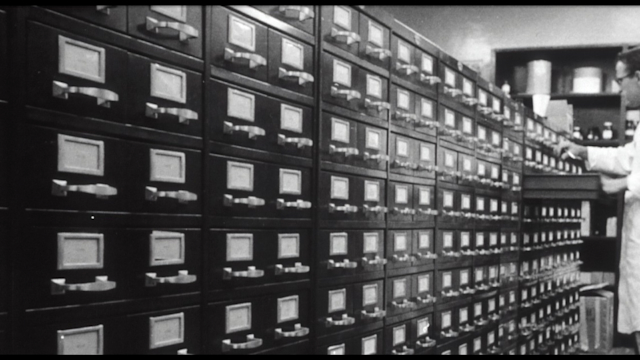 filesystem-image-3-border 1667078254472