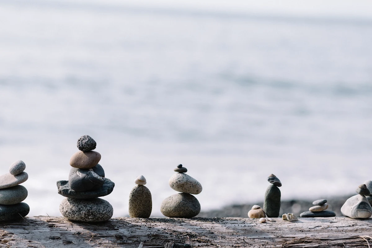 Source: Photo by Patrick Fore on Unsplash