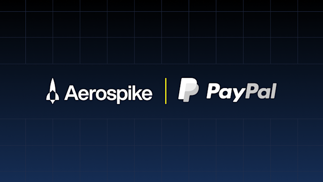 paypa-customer-storyl