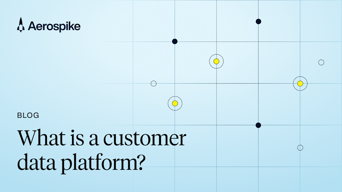 How a Customer Data Platform (CDP) Empowers Your Business | Aerospike