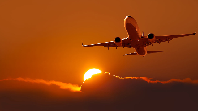 plane against the sunset