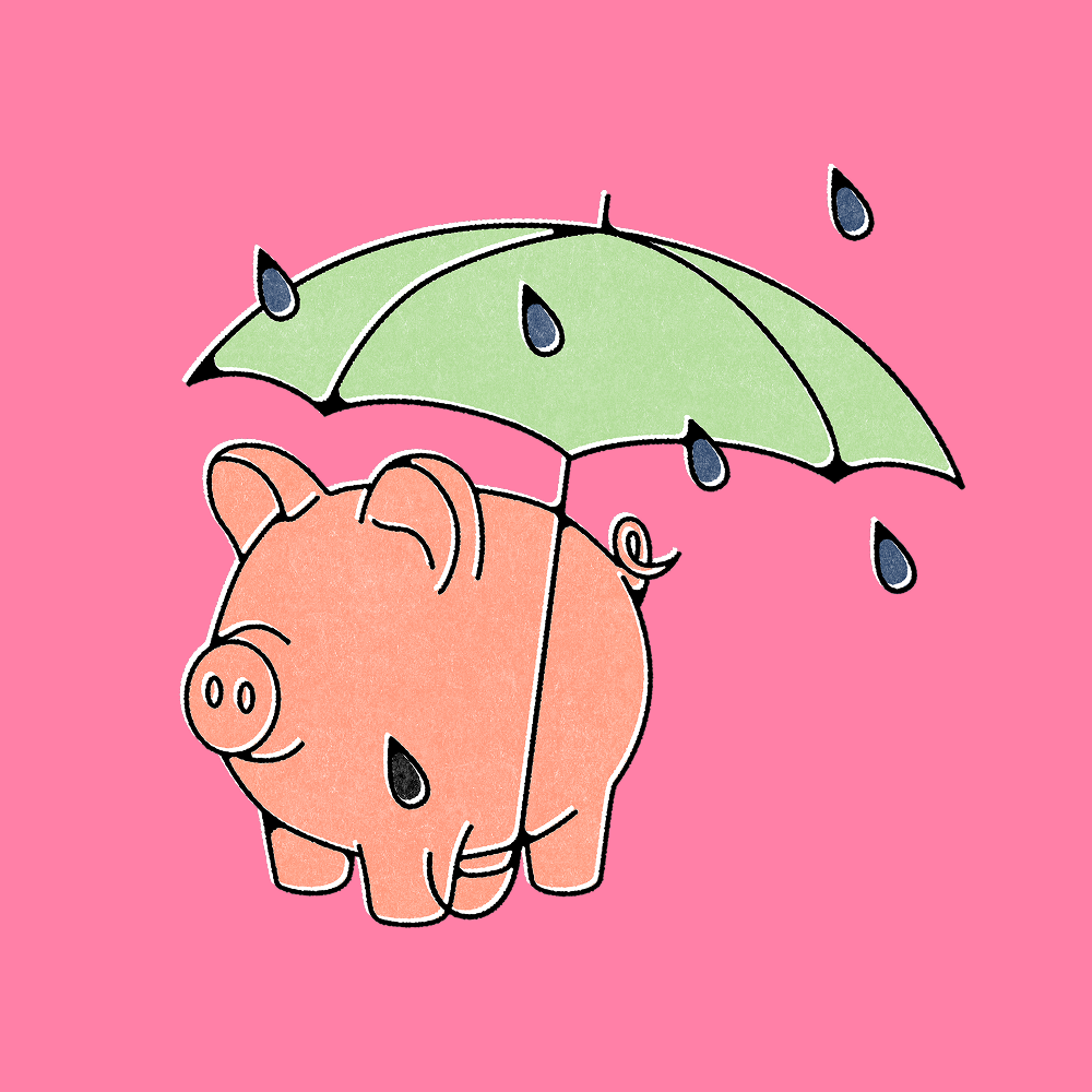 Pig umbrella