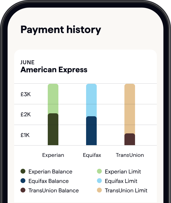 Credit report payment history