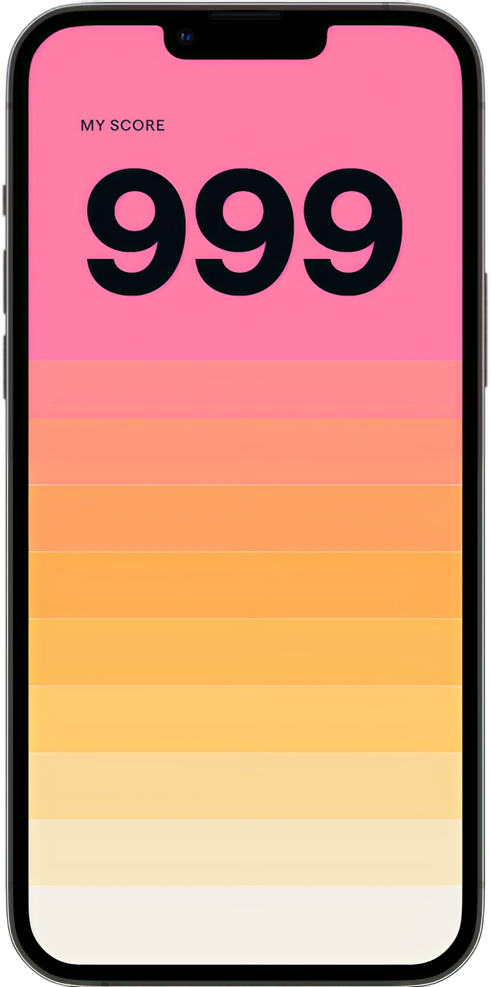 A mobile phone displaying a credit score
