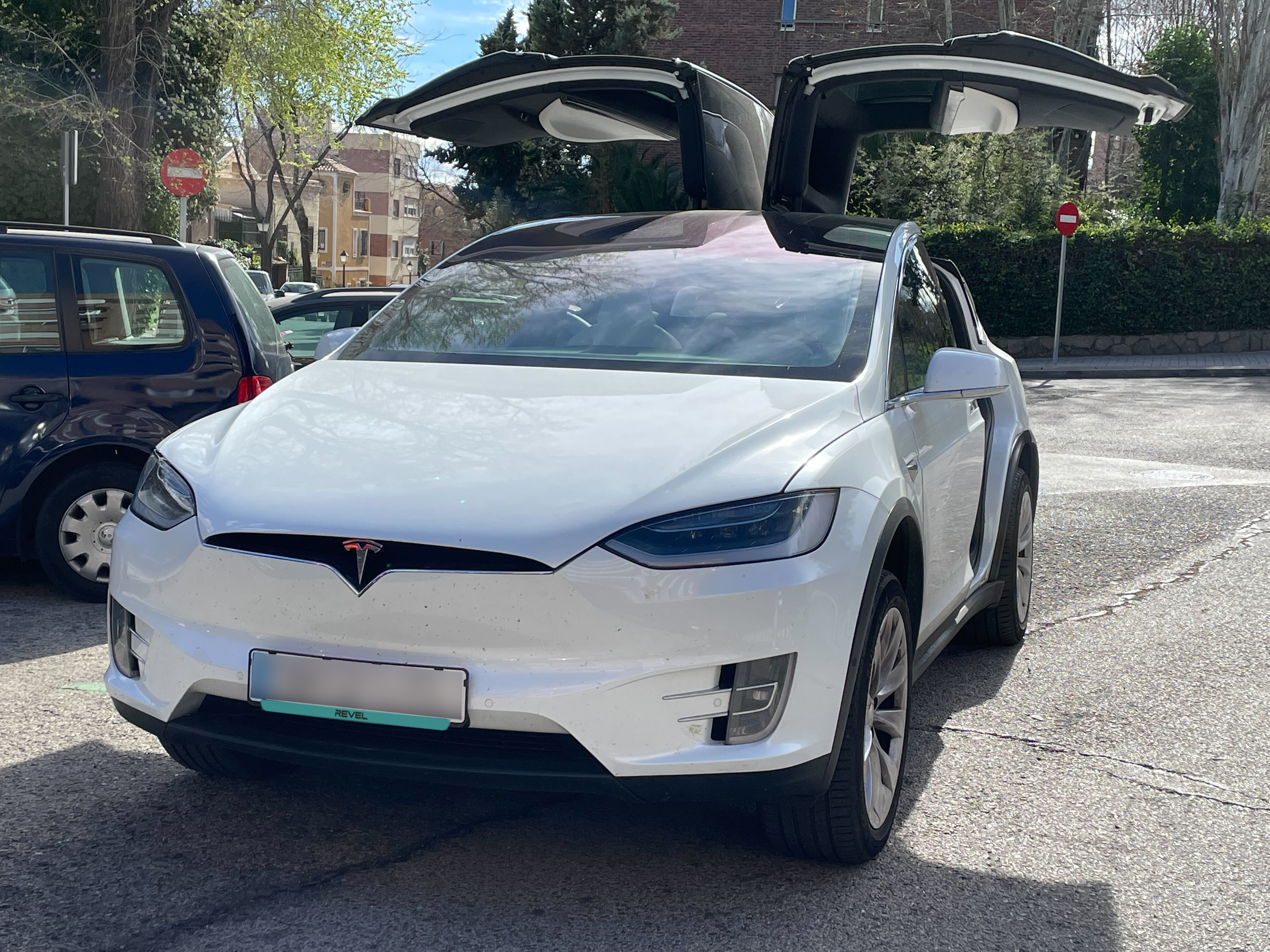 Mary T. - TESLA MODEL X-review-image