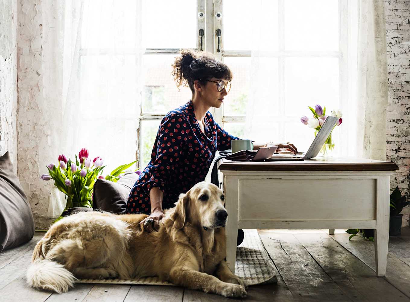 what to do if you get a life insurance benefit - woman at laptop with dog