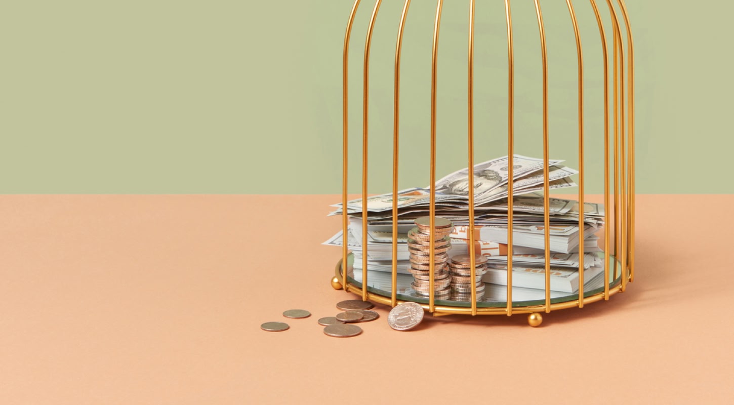 Money in a cage