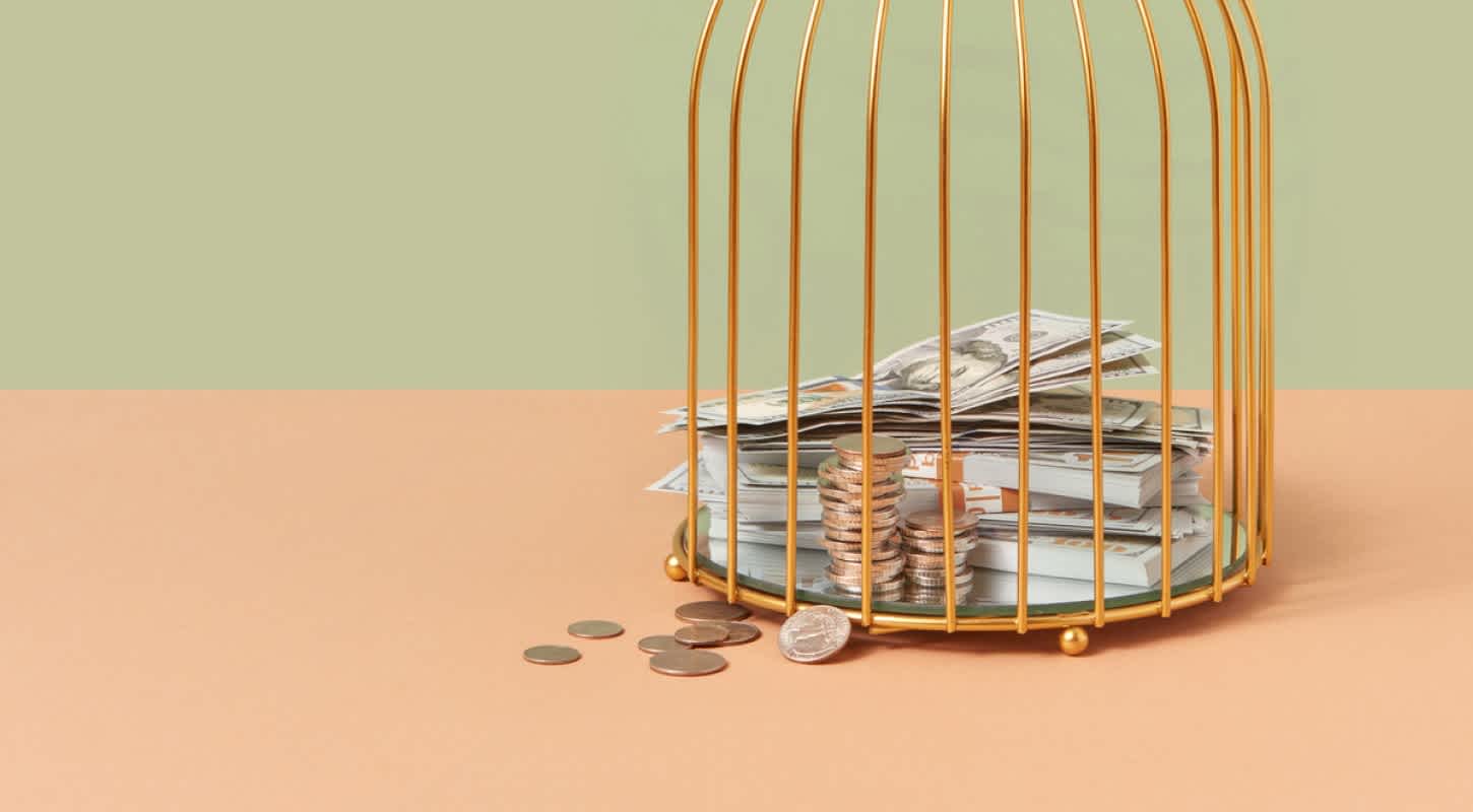 Money in a cage