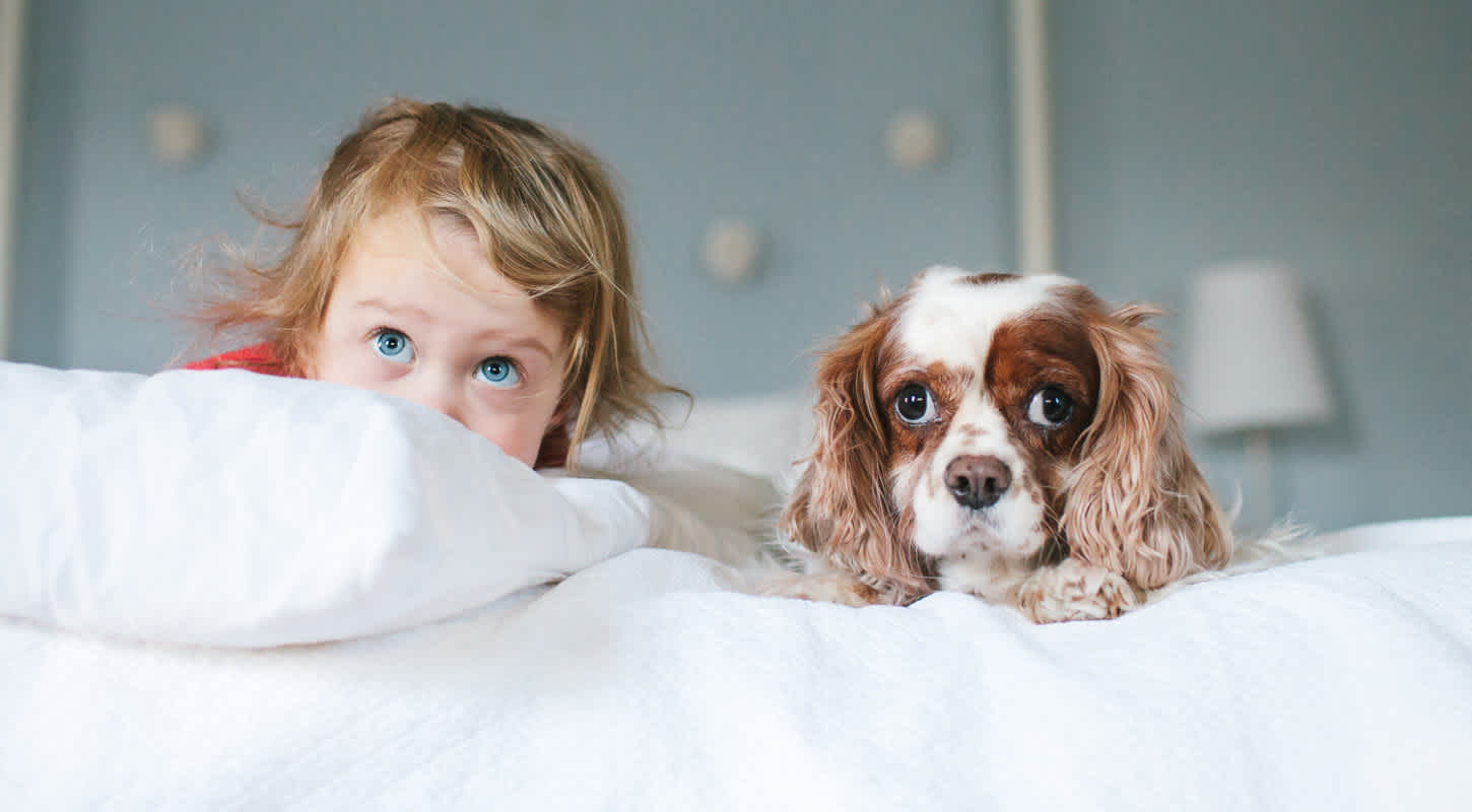 a toddler and their dog