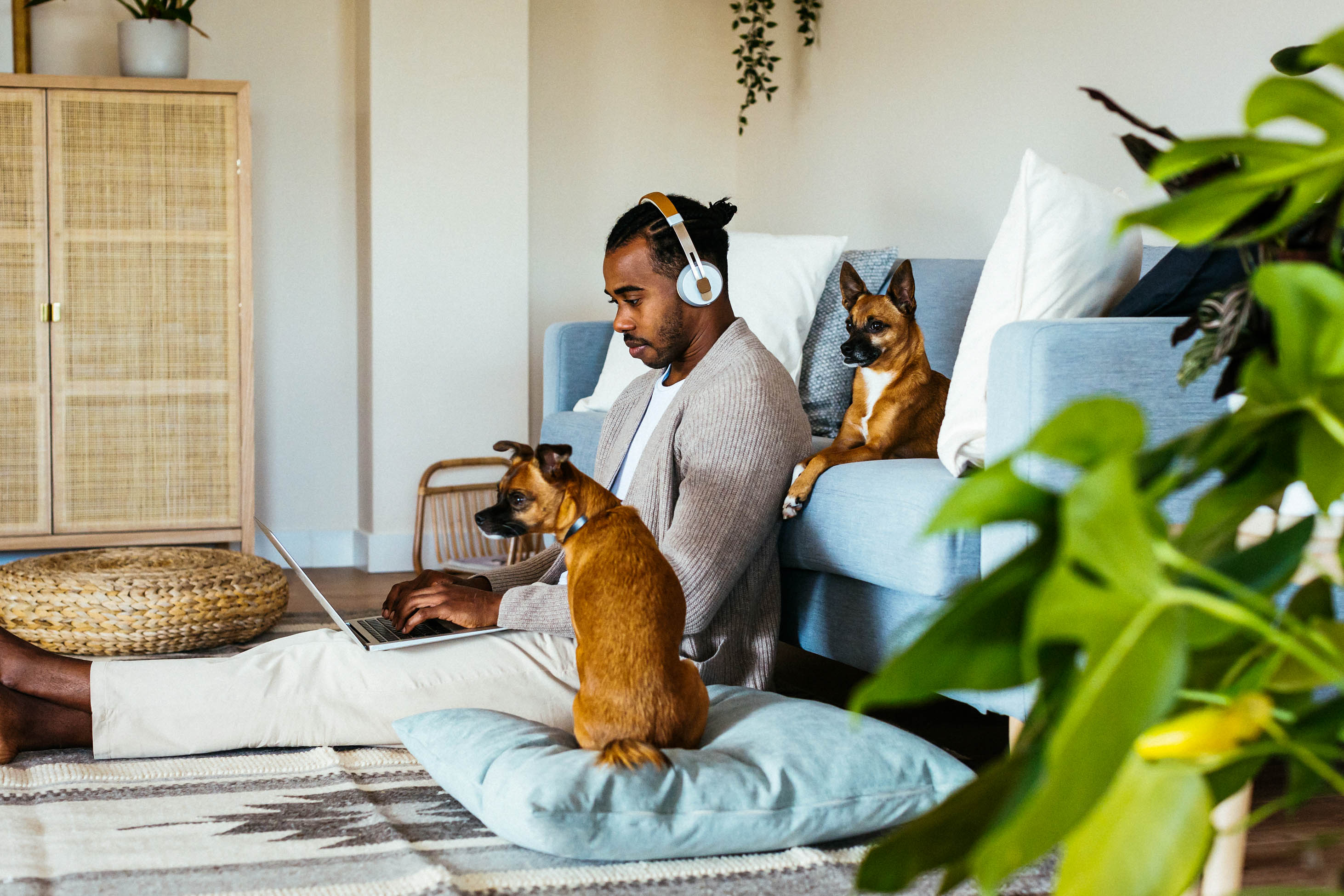 how does the probate process work - man sitting on the ground by a couch with two dogs in a peaceful room