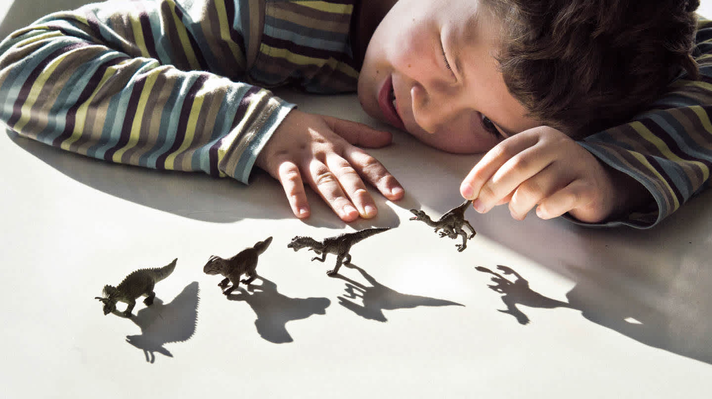 A young boy plays with four miniature dinosaurs.