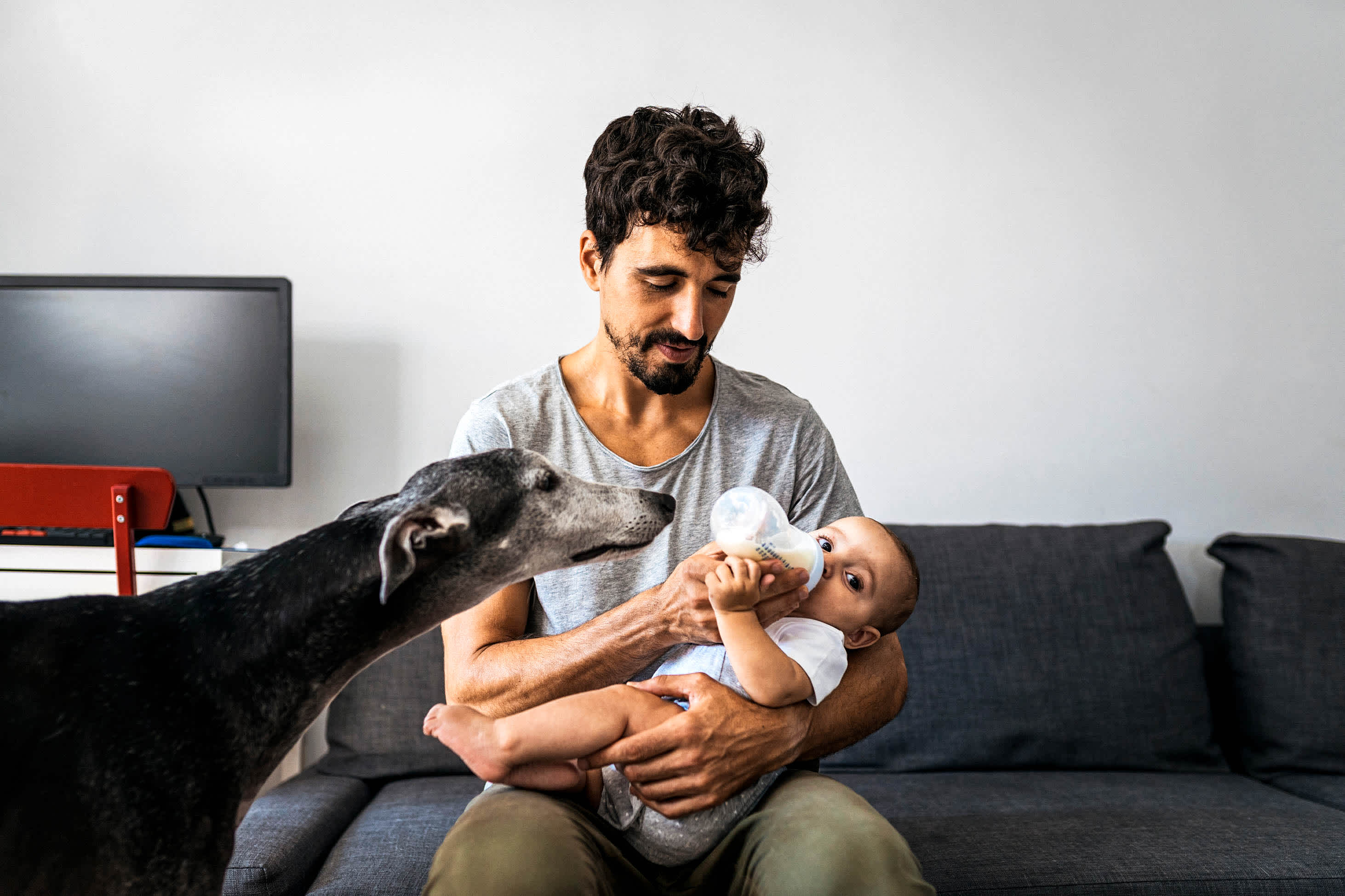 Life insurance for parents: A young father sits on a couch with an infant on his lap, and helps them hold a baby bottle, while staring lovingly at them. The infant gazes at the camera, while an adult greyhound sniffs the baby bottle.