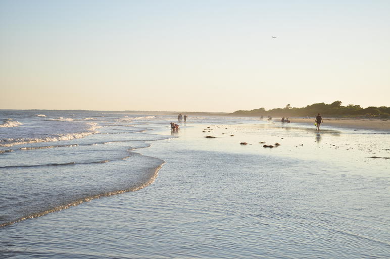 States with the biggest debt problem - Beach goers and dogs enjoying a sunrise at a beach on the South Carolina coast.