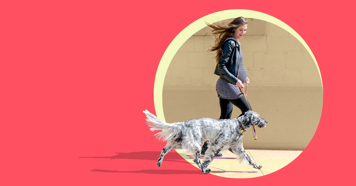 pregnant woman with dog - how do underwriters treat pregnancy