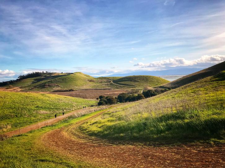 The Healthiest Cities in the United States for Families - Rolling green hills against a blue sky in Fremont, CA. 