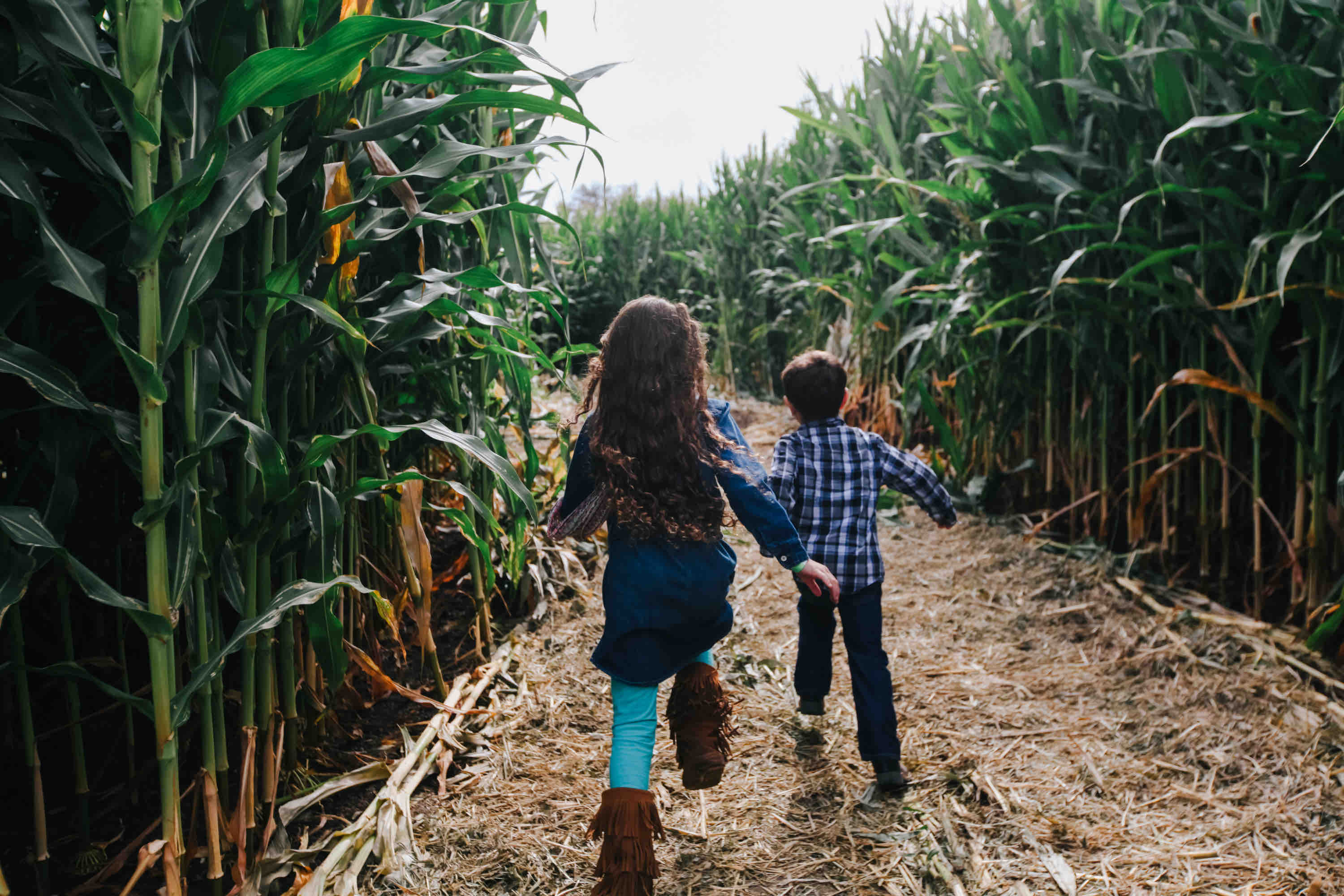 Girl and boy running through field of corn stalks - fall autumn financial to-do list