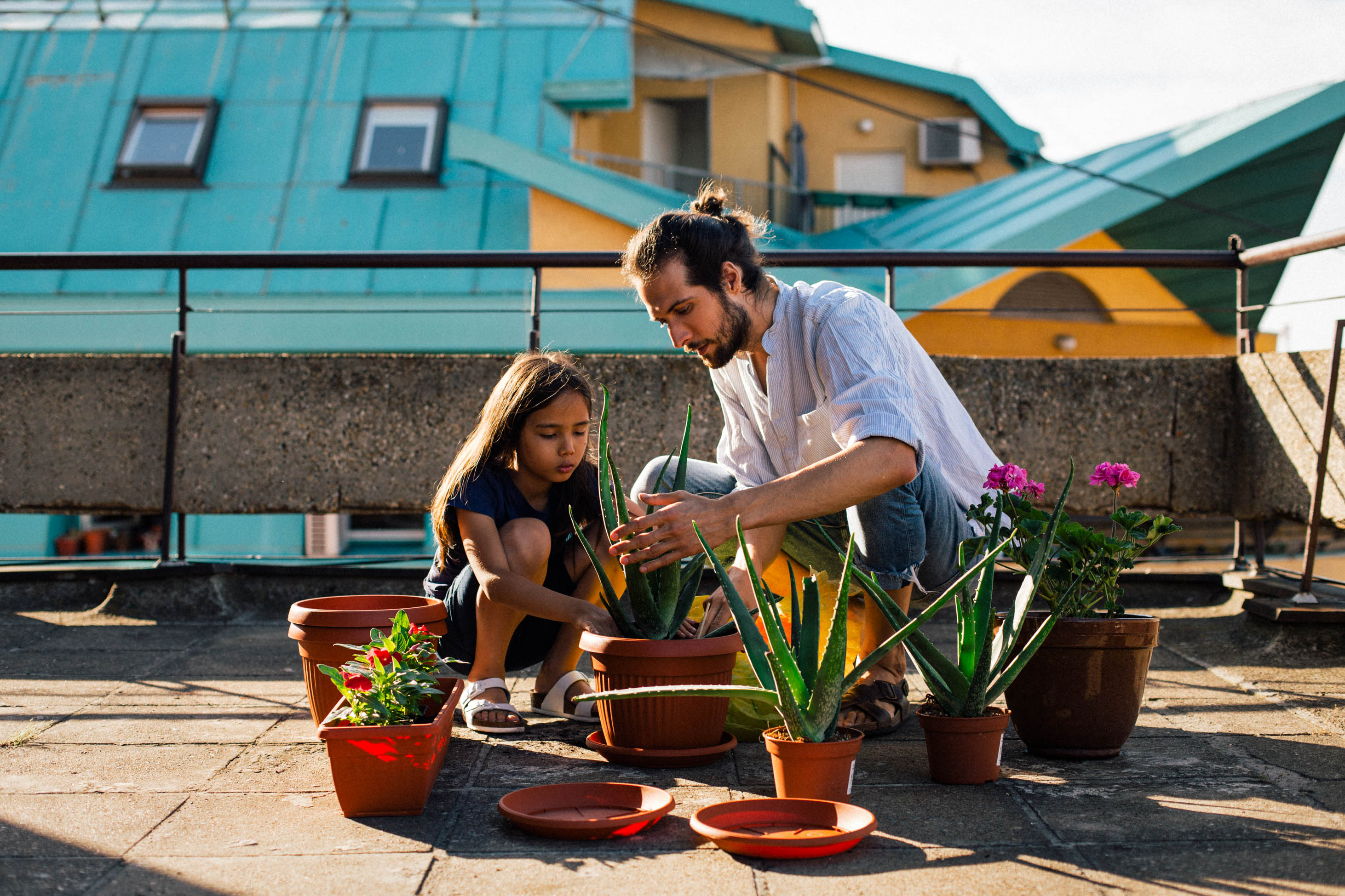 father and daughter planting flowers