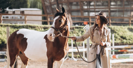 A woman with a horse in a stable