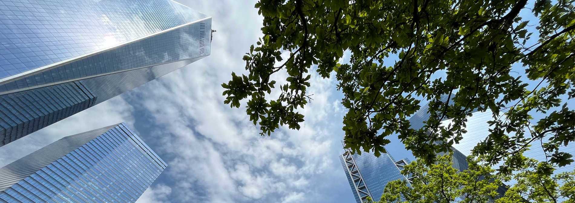 WTC and sky - New York City