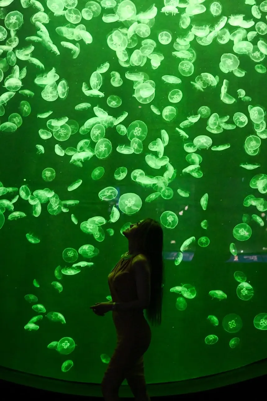 18 Best Things to Do in Singapore with Kids - Pelago