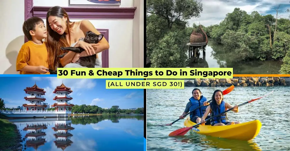Collage of fun and cheap activities in Singapore, including kayaking, a pug café, Jurong Lake Gardens, and Sungei Buloh Wetland Reserve.