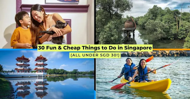 Collage of fun and cheap activities in Singapore, including kayaking, a pug café, Jurong Lake Gardens, and Sungei Buloh Wetland Reserve.