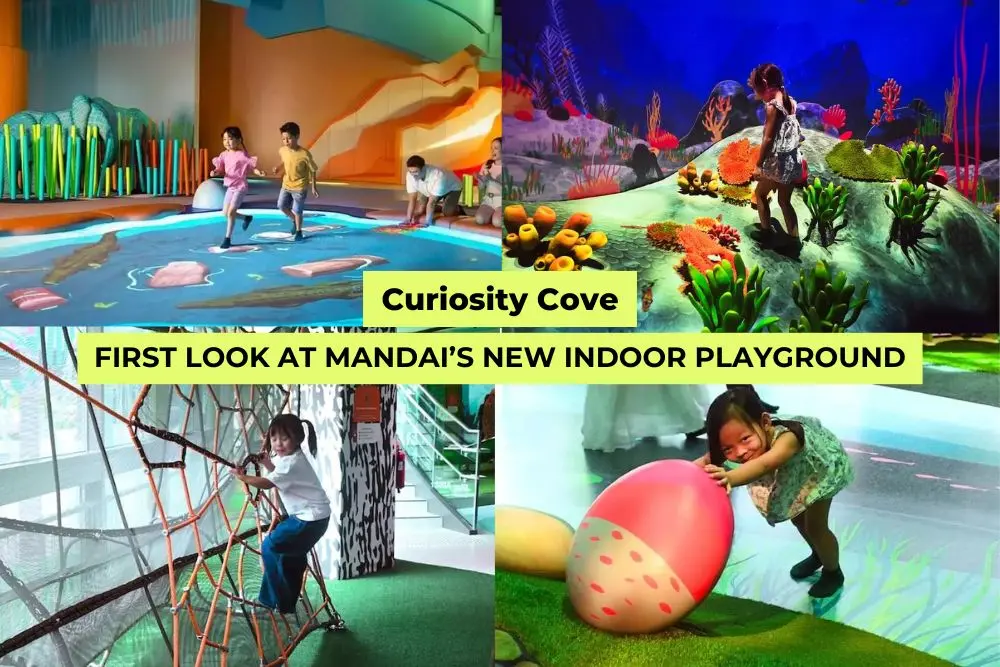 Collage of Curiosity Cove’s new indoor playground, showing kids exploring interactive zones, rope climbs, and colourful nature-themed play areas.
