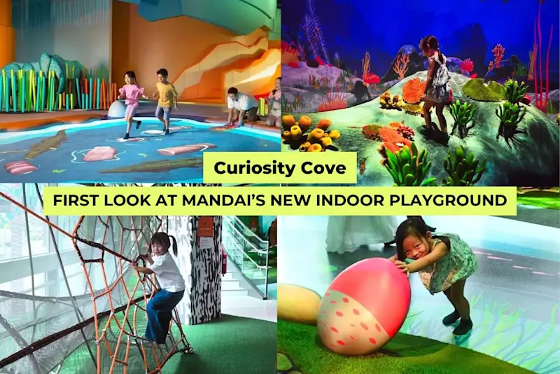 Collage of Curiosity Cove’s new indoor playground, showing kids exploring interactive zones, rope climbs, and colourful nature-themed play areas.