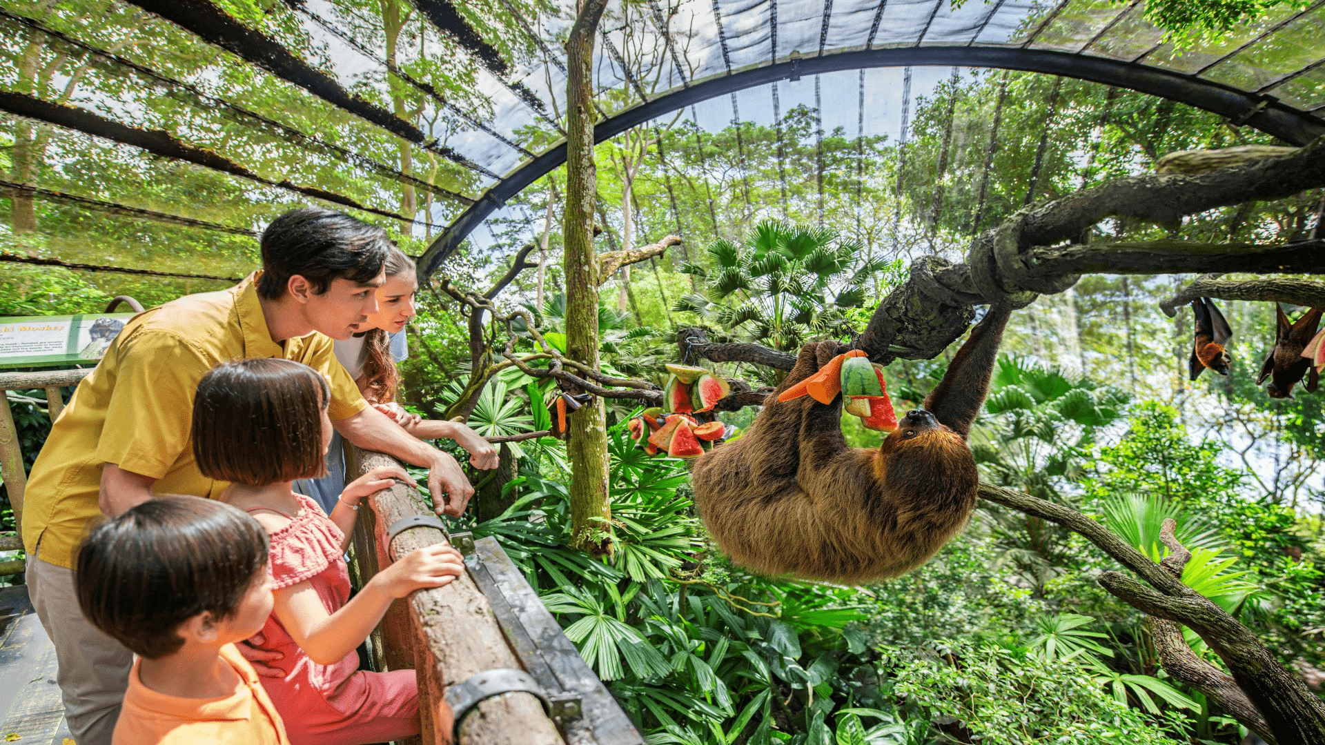 Singapore Zoo: Tickets, Things to Do, and What to Know