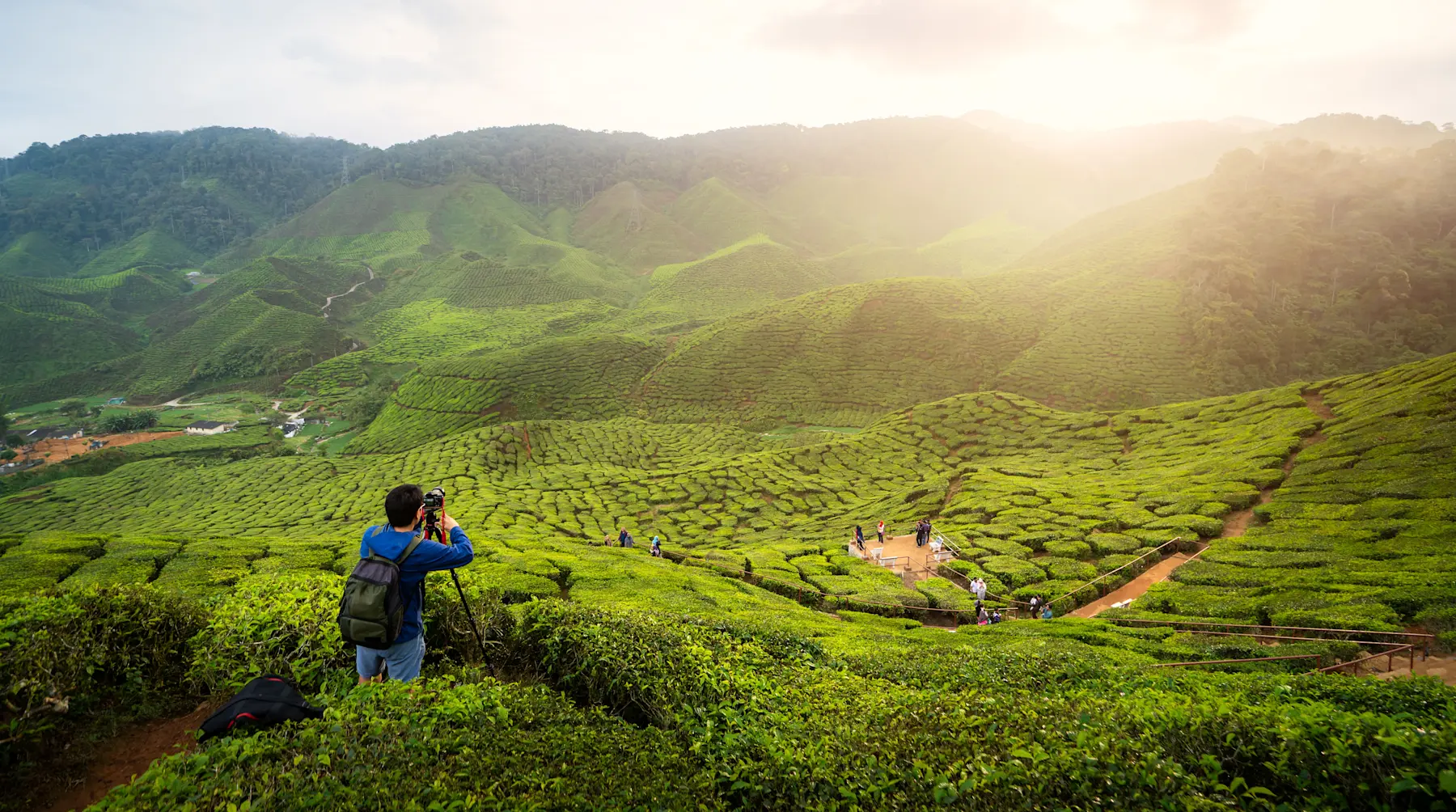 Cameron Highlands