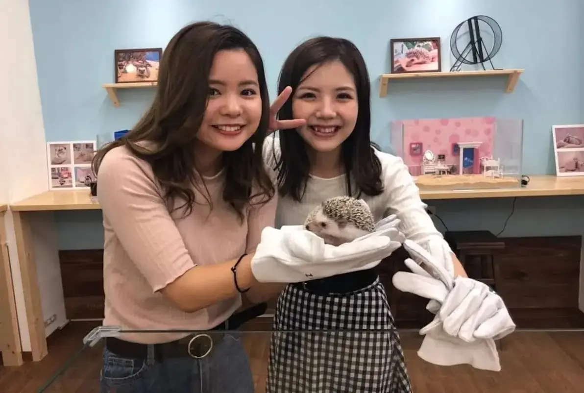 Hedgehog Cafe Tokyo