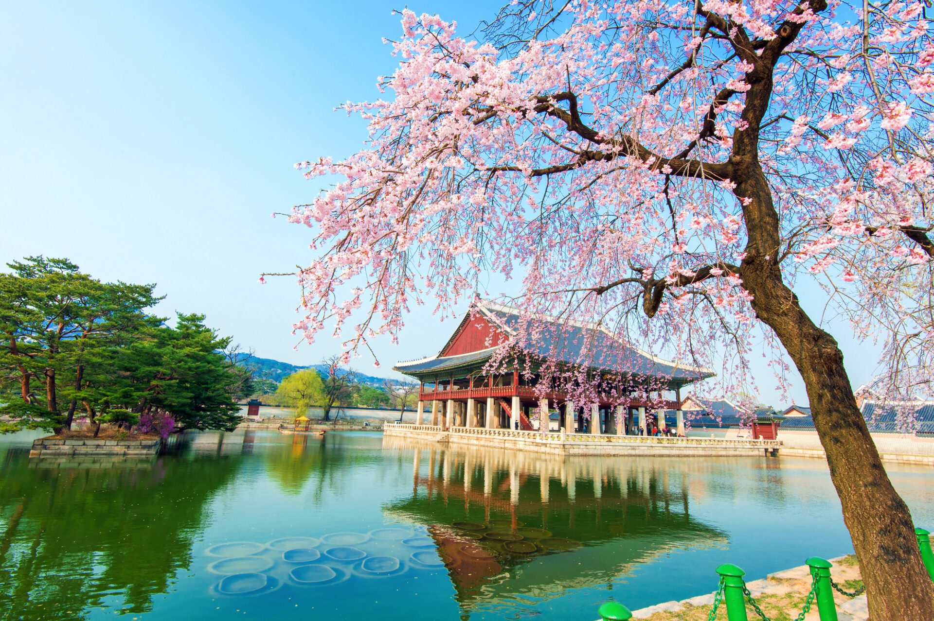 How to Explore Seoul in 24 Hours: A Perfect 1-Day Itinerary - Pelago