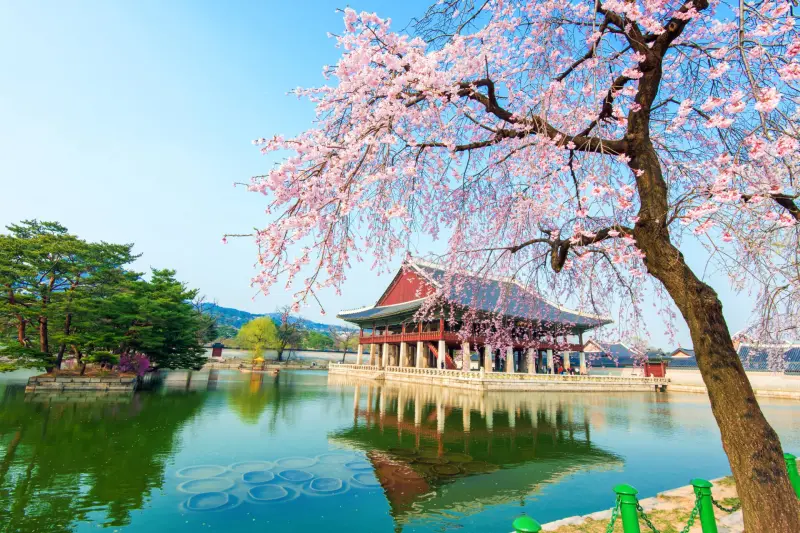 How to Explore Seoul in 24 Hours: A Perfect 1-Day Itinerary