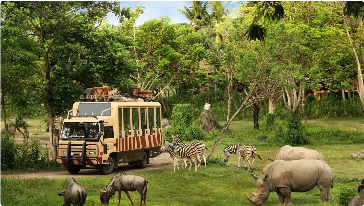 Your Ultimate Guide to Experiencing Bali Safari and Marine Park