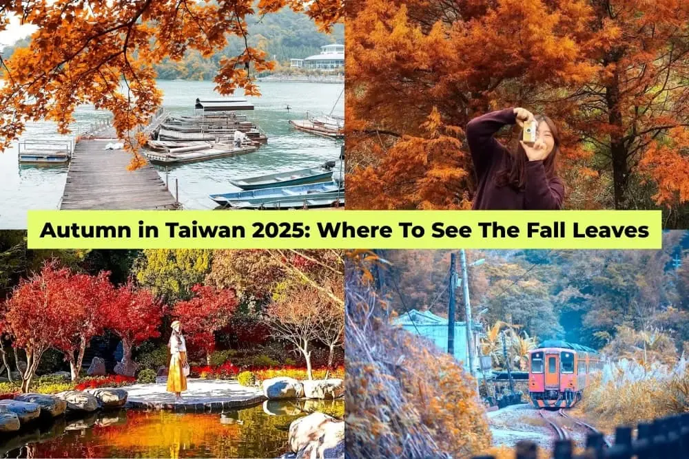 Four scenic autumn scenes in Taiwan with vivid fall leaves, lakeside boats, red maple trees, and a train passing through foliage.