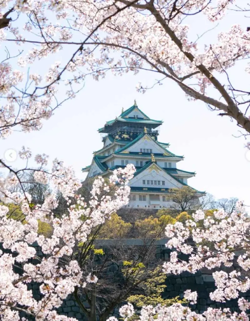 One Day in Osaka: An Ideal Itinerary for Travellers with Limited Time