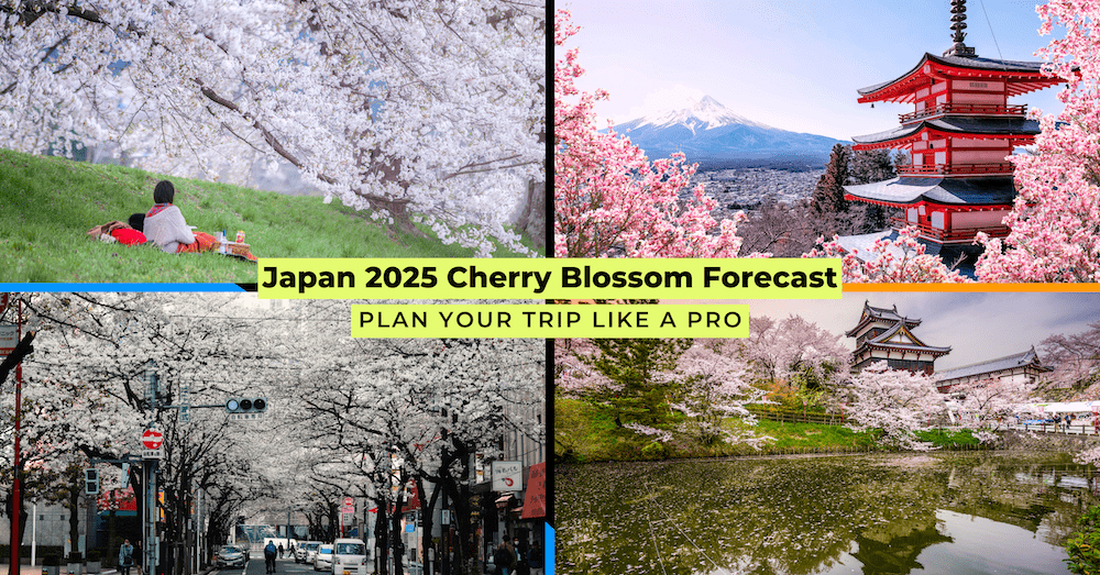 collage of 4 places in Japan with cherry blossom
